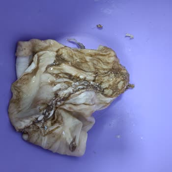 Migros Sanal Market'ten Gelen Temizlenmemiş Kuzu İşkembe Şoku