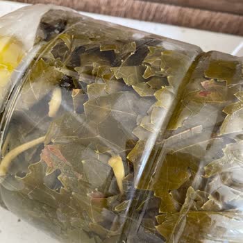 Instagram Lezzet _Dogadan Şikayeti