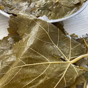 Instagram Lezzet _Dogadan Şikayeti