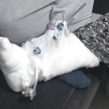 Pegasus'tan Yetersiz Müşteri Hizmetleri Ve Koltuk Seçimi Sorunu