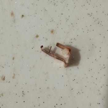 Market Ürünlerinde Tehlikeli Metal Parçaları