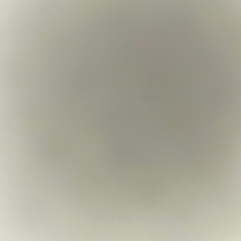 Stradivarius Kabanın Hızla Tüylendi