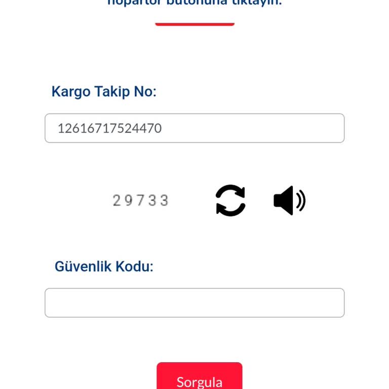 Sürat Kargo İle Teslimat Sorunu Ve Müşteri Memnuniyetsizliği