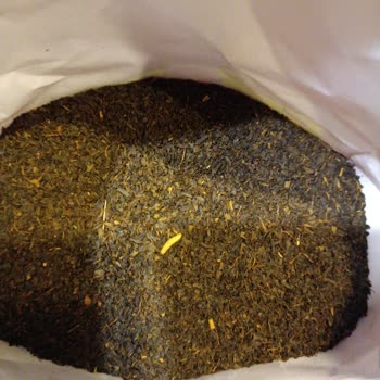 Çay Paketinde Canlı Kurt Şoku