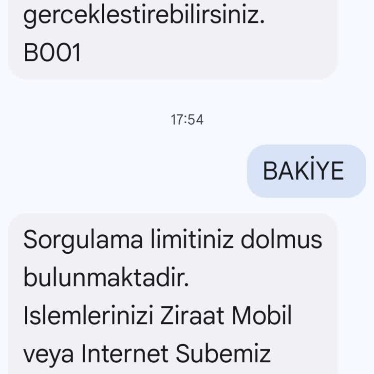 Ziraat Bankası Hesap Bakiyesi Sorgulama Sorunu
