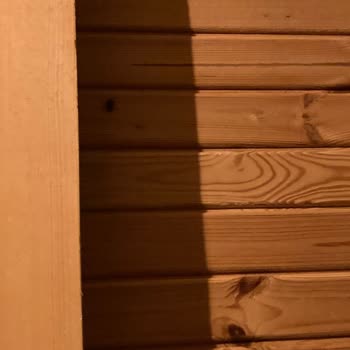 Hijyen Sorunları Ve Yetersiz Hizmet Deneyimi