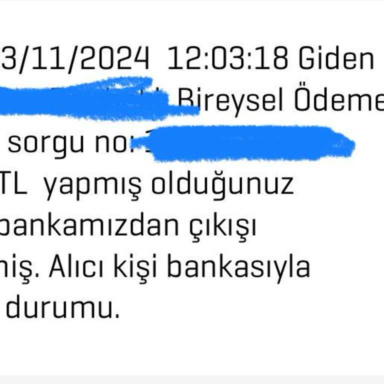 Elektronik Mağazasında Havale Sorunu