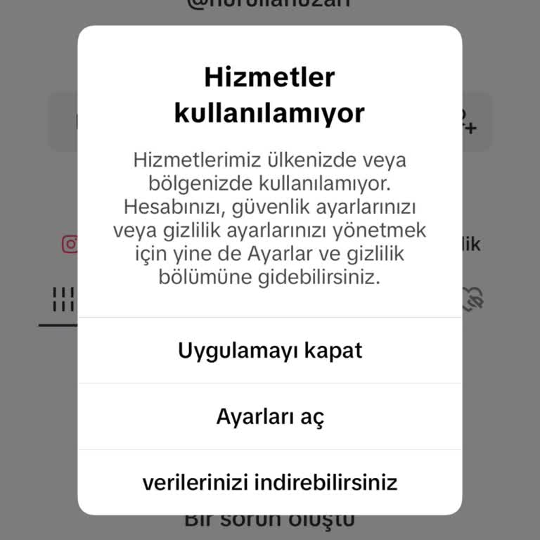 TikTok'ta Giriş Sorunu Ve Sürekli Uyarılar