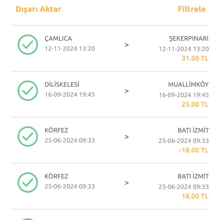 HGS Geçişlerinde Sahte Plaka Sorunu