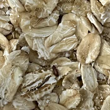 Wefood Yulaf Ezmesi'nde Böcek Şoku