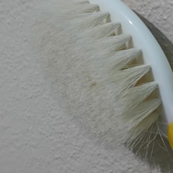 Bebedor Fırça Seti Hayal Kırıklığı