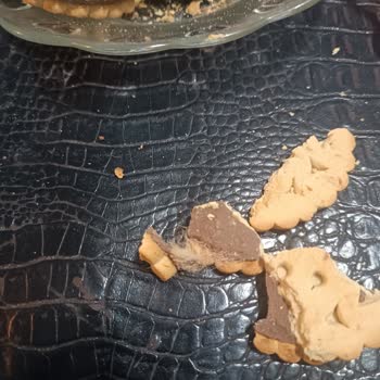 A101'de Şaşırtan Bisküvi Deneyimi