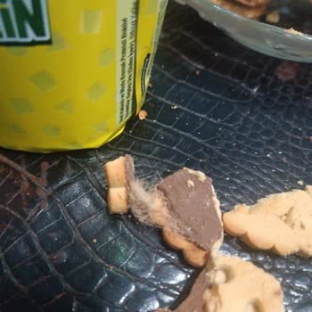 A101'de Şaşırtan Bisküvi Deneyimi