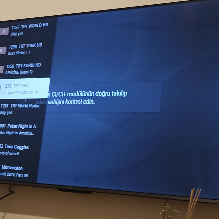 TRT 1 Kanal Sorunu: TCL TV Modül Hatası