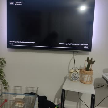 Philips TV'de Şifreli Yayın Sorunu