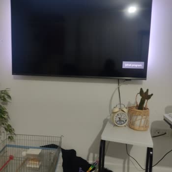 Philips TV'de Şifreli Yayın Sorunu