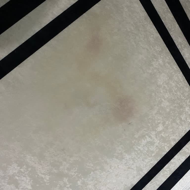 Domestos Kullanımı Sonrası Halımda Renk Değişimi