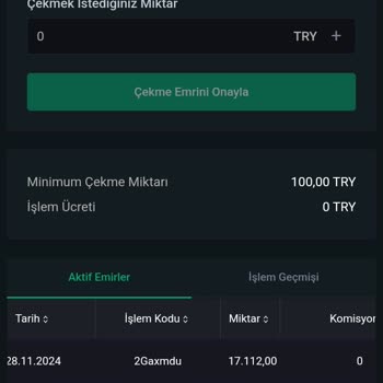 Bitçi Borsasında Stake Süresi Sonrası Para İadesi Sorunu