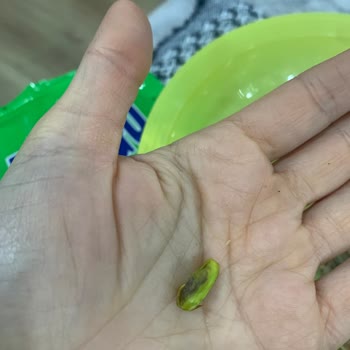 Bozuk Ve Acı Fıstıklar: Sağlık Tehdidi