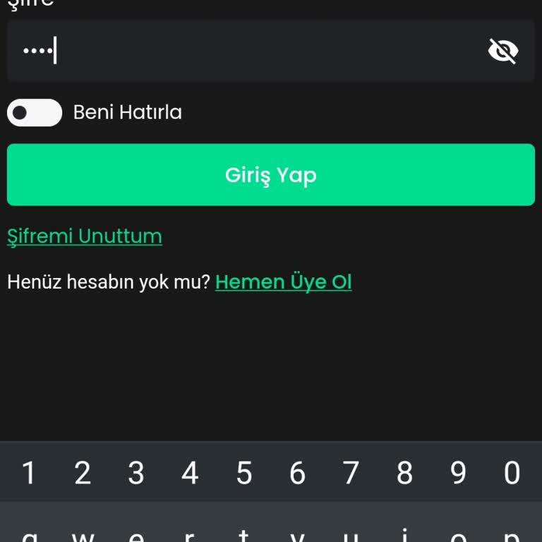 Bitay Hesabım Kayboldu: Acil Yardım Bekliyorum
