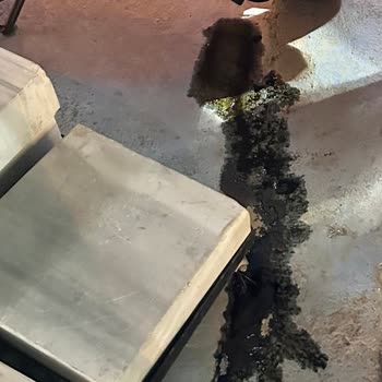 Hero Dash 125: Kronik Yağ Kaçağı Sorunu