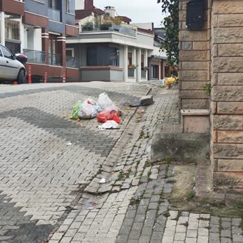 Çöp Konteyneri Eksikliği Mahallede Sorun Yaratıyor