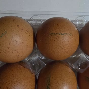 Mopaş Hipermarket Aldığım Yumurtaların Kaynağı Ve Güvenilirliği Hakkında Şüphelerim Var