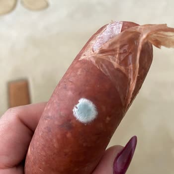 Küflü Sucuk Şoku