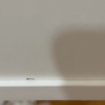 Kurulum Gecikti Hatalı Parçalar Ve Hasarlı Mobilya Teslim Edildi
