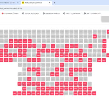 Fındıkkıran Balesi Bilet Satışındaki Anlaşılmazlık Ve Şeffaflık Eksikliği