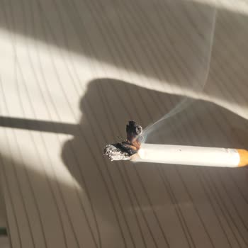 Sigara Kalitesinde Düşüş Ve Odun Kokusu