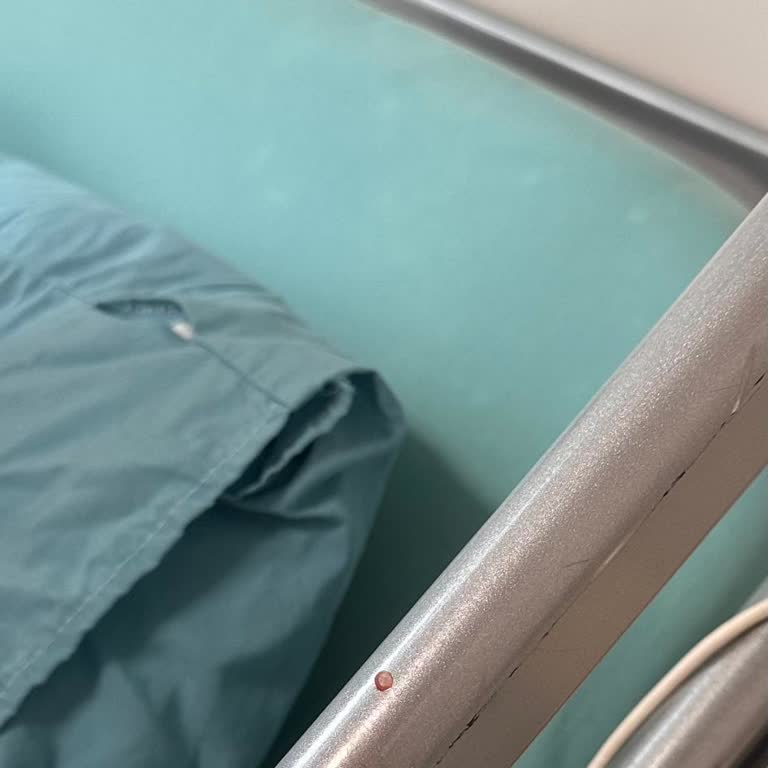 Hastanede Agresif Hemşireler Ve İhmal Edilen Hizmet