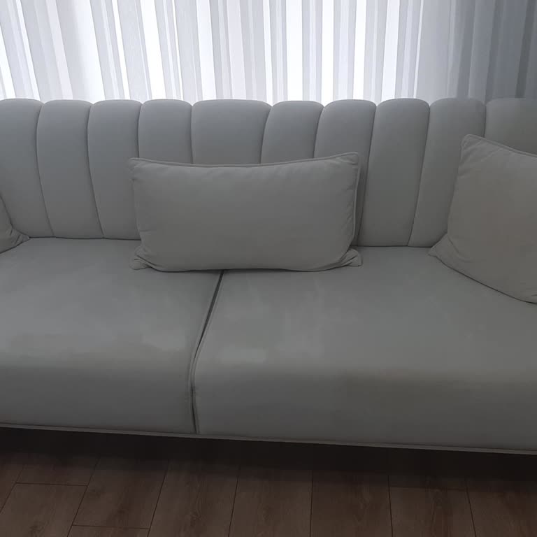 Buharlı Temizleyici Koltuklarımı Mahvetti!