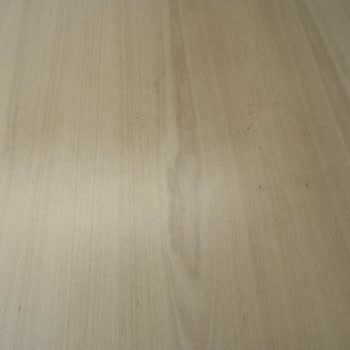 Leviosa Masa Leke Olması