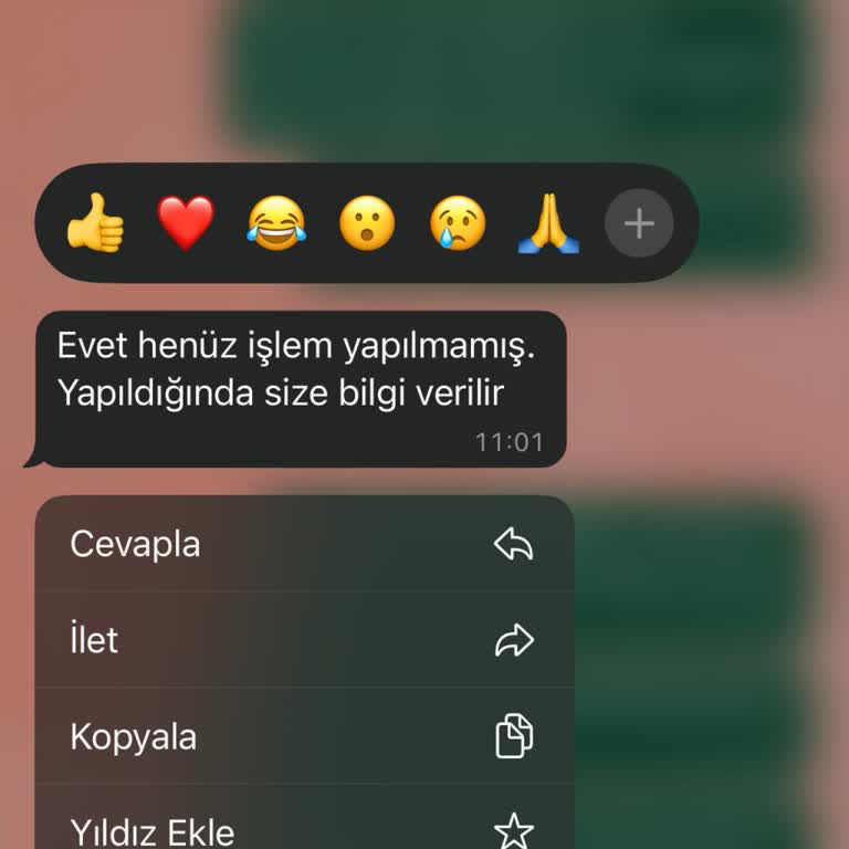 Moog Butik'ten İade Sürecinde Yaşanan Sorunlar