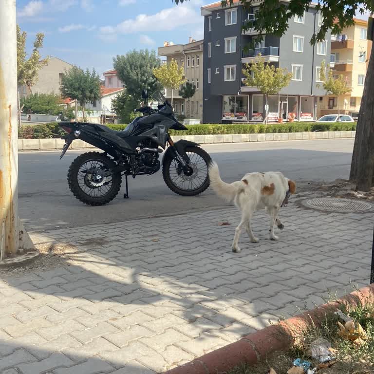 Yeni Aldığım Motorun Tekerlek Sorunu Ve Bayi İlgisizliği