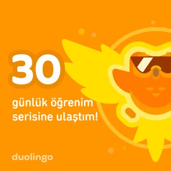 Duolingo Ödül Sorunu: 30 Günlük Seri Sonrası Hayal Kırıklığı
