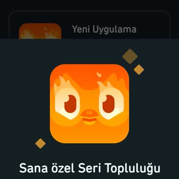 Duolingo Ödül Sorunu: 30 Günlük Seri Sonrası Hayal Kırıklığı