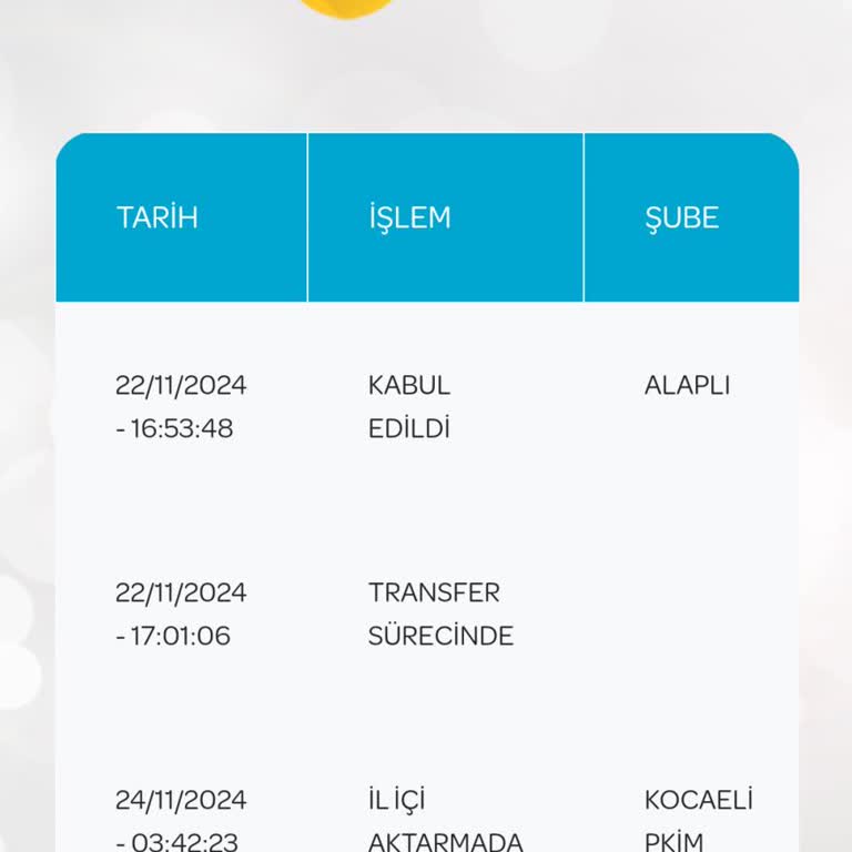 PTT Kargo İle Teslimat Sorunu Ve Müşteri Memnuniyetsizliği