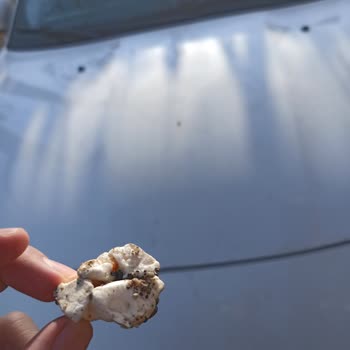 Servis Eksikliği Ve Garip Durumlar