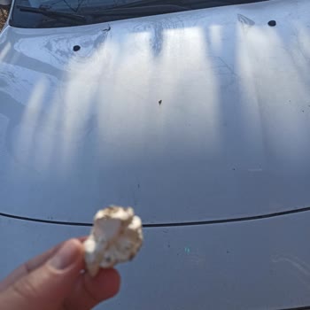 Servis Eksikliği Ve Garip Durumlar