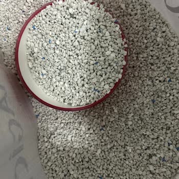 Yanlış Kedi Kumu Teslimatı: İnce Ve Kalın Kum Ayrımının Önemi