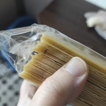 Fırsat Ürünü Lasagna'dan Böcek Çıktı