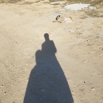 Osmangazi Mahallesi'nde Yol Ve Güvenlik Sorunları