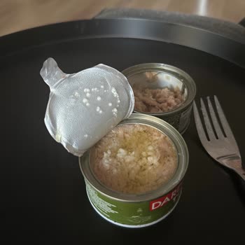 Buzdolabında Saklanan Ürünlerin Erken Bozulması
