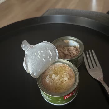 Buzdolabında Saklanan Ürünlerin Erken Bozulması