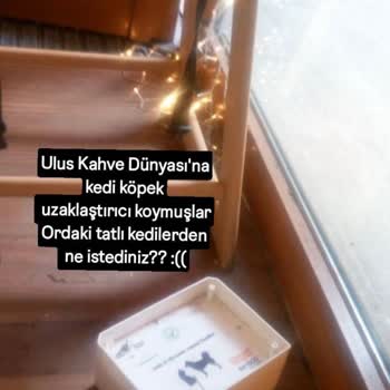 Hayvan Dostu Görünüp Aksini Yapan Şube