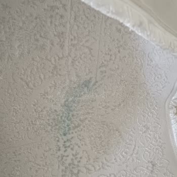 İzgiler Halı Yıkama Diyarbakır Pişmanlığı