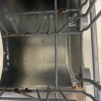 Arçelik Bulaşık Makinesi: Pas Ve Çürüme Sorunu