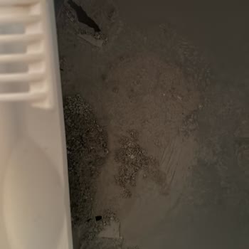 Yasomi Kedi Kum Kabının Dayanıklılık Sorunu Ve Yetersiz Müşteri Desteği